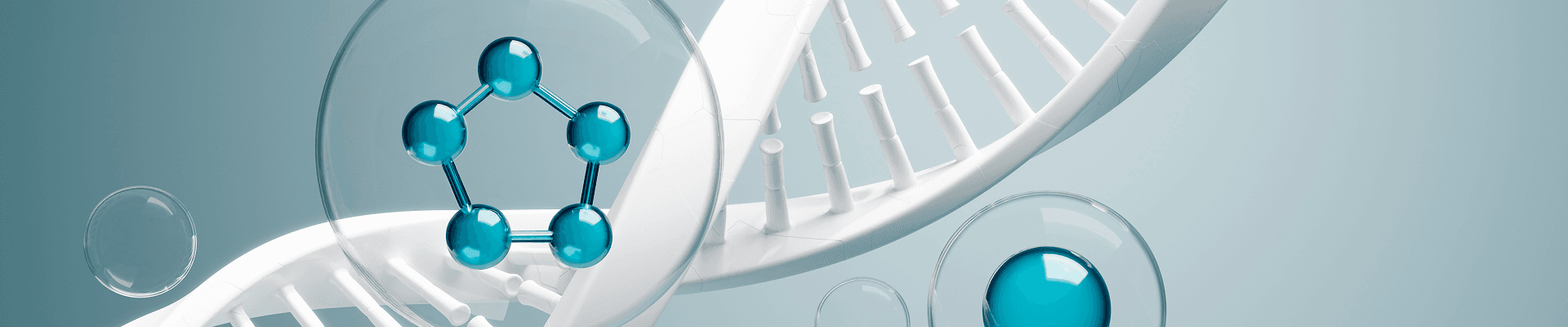 줄기세포 병행 치료 이미지